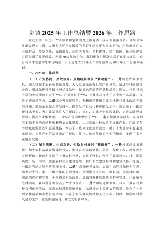 乡镇2025年工作总结暨2026年工作思路