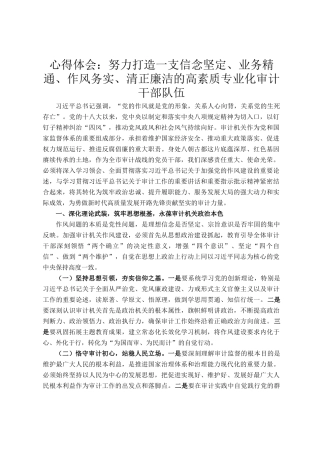 心得体会：努力打造一支信念坚定、业务精通、作风务实、清正廉洁的高素质专业化审计干部队伍