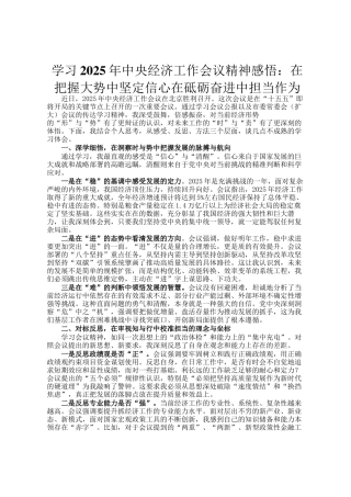 学习2025年中央经济工作会议精神感悟：在把握大势中坚定信心在砥砺奋进中担当作为