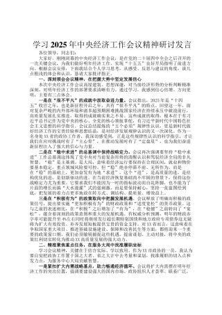 学习2025年中央经济工作会议精神研讨发言