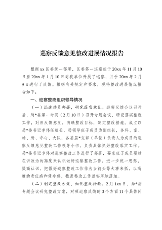 巡察反馈意见整改进展情况报告