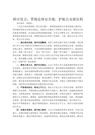 研讨发言：贯彻总体安全观，护航公安新征程