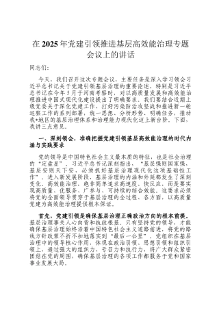 在2025年党建引领推进基层高效能治理专题会议上的讲话