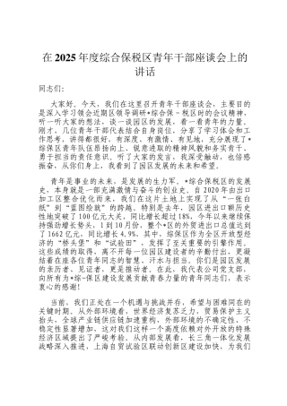 在2025年度综合保税区青年干部座谈会上的讲话