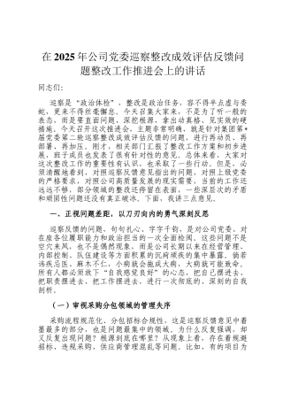 在2025年公司党委巡察整改成效评估反馈问题整改工作推进会上的讲话