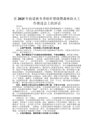 在2025年街道秋冬季秸秆禁烧暨森林防火工作推进会上的讲话