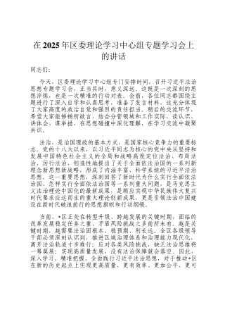 在2025年区委理论学习中心组专题学习会上的讲话