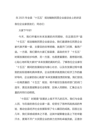 在2025年全县“十五五”规划编制民营企业座谈会上的讲话