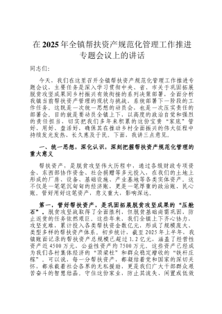 在2025年全镇帮扶资产规范化管理工作推进专题会议上的讲话