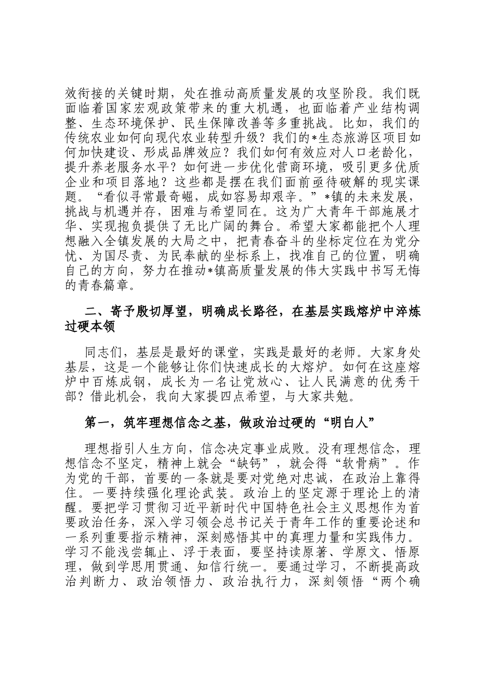 在2025年全镇青年干部座谈会上的讲话提纲_第3页