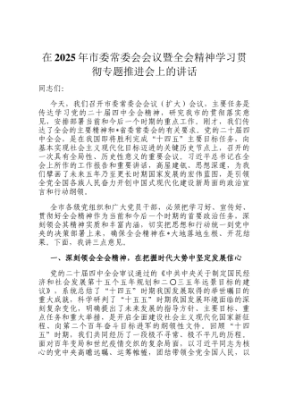 在2025年市委常委会会议暨全会精神学习贯彻专题推进会上的讲话