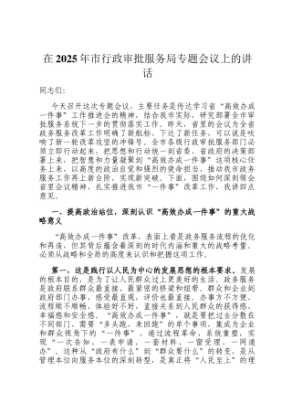 在2025年市行政审批服务局专题会议上的讲话