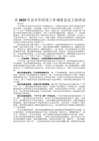 在2025年县全年经济工作调度会议上的讲话