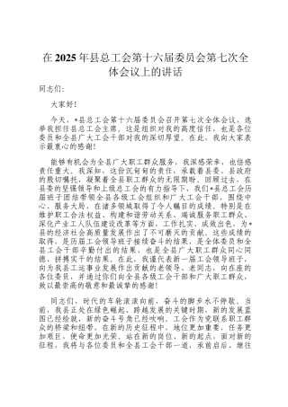 在2025年县总工会第十六届委员会第七次全体会议上的讲话