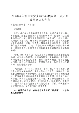 在2025年新当选党支部书记代表新一届支部委员会表态发言
