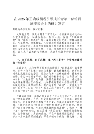 在2025年正确政绩观引领成长青年干部培训班座谈会上的研讨发言