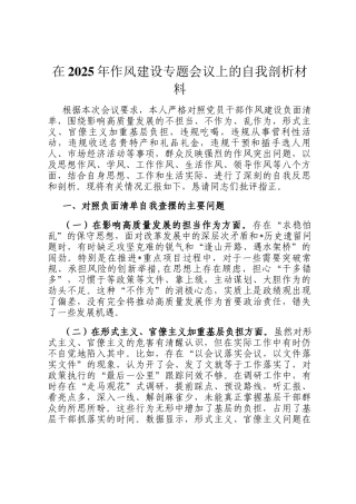 在2025年作风建设专题会议上的自我剖析材料