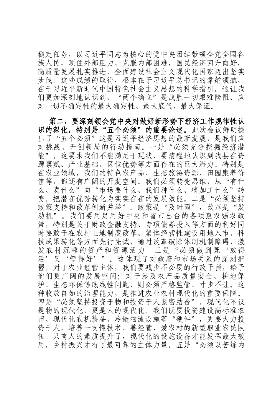 在传达学习2025年度中央经济工作会议精神上的讲话稿_第2页