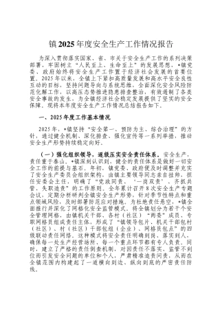 镇2025年度安全生产工作情况报告