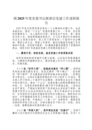 镇2025年度党委书记抓基层党建工作述职报告