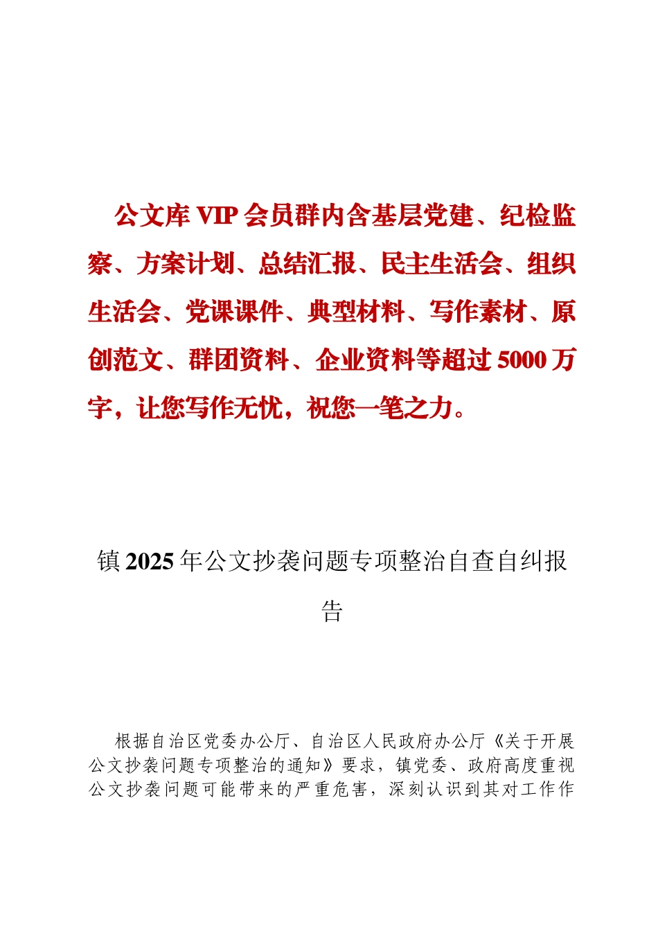 镇2025年公文抄袭问题专项整治自查自纠报告定_第1页