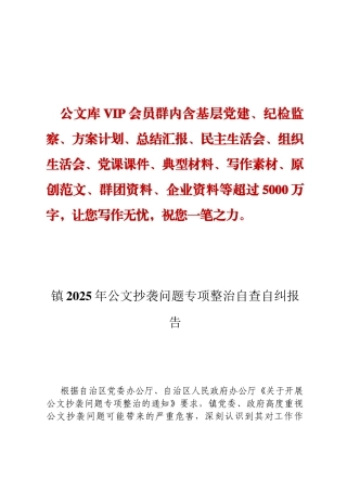 镇2025年公文抄袭问题专项整治自查自纠报告定