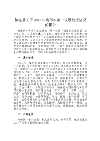 镇党委关于2025年度落实第一议题制度情况的报告