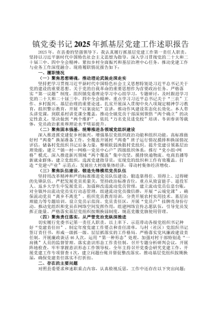 镇党委书记2025年抓基层党建工作述职报告