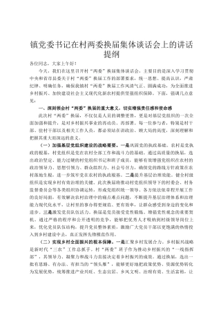 镇党委书记在村两委换届集体谈话会上的讲话提纲