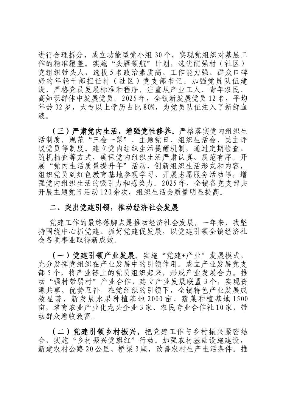 镇委员会2025年度党委书记抓基层党建工作述职报告_第2页