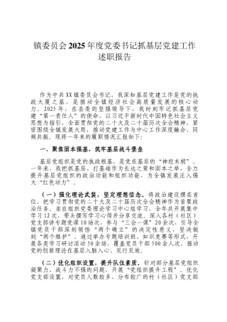 镇委员会2025年度党委书记抓基层党建工作述职报告