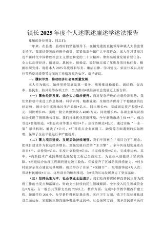 镇长2025年度个人述职述廉述学述法报告