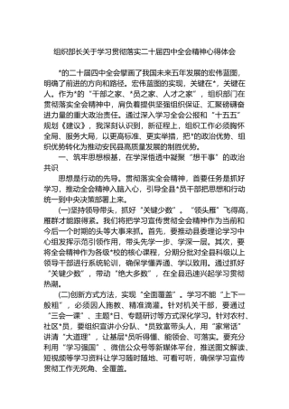 组织部长关于学习贯彻落实二十届四中全会精神心得体会