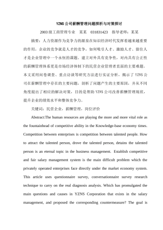 YZNS公司薪酬管理问题探析与对策探讨