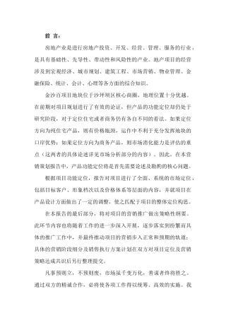 百项目策划报告