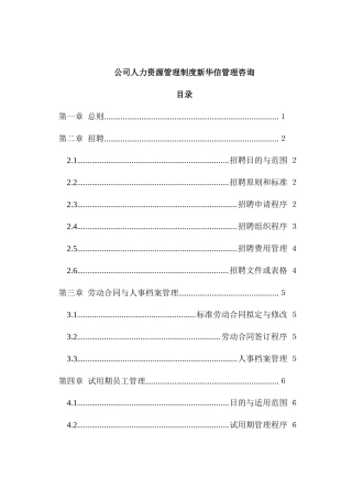 公司人力资源管理制度新华信管理咨询