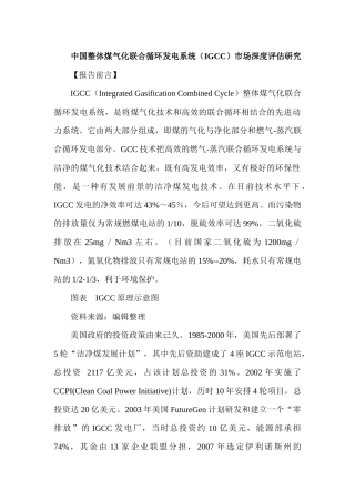 中国整体煤气化联合循环发电系统（IGCC）市场深度评估研究分析  电气工程自动化专业