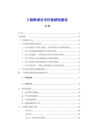 丁硅料项目建设可行性研究报告