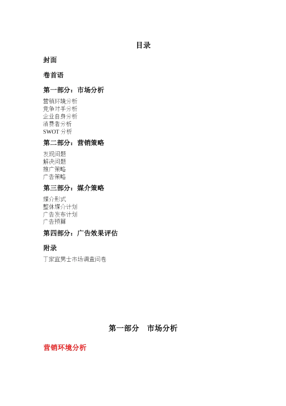 丁家宜男士系列推广策划案_第2页