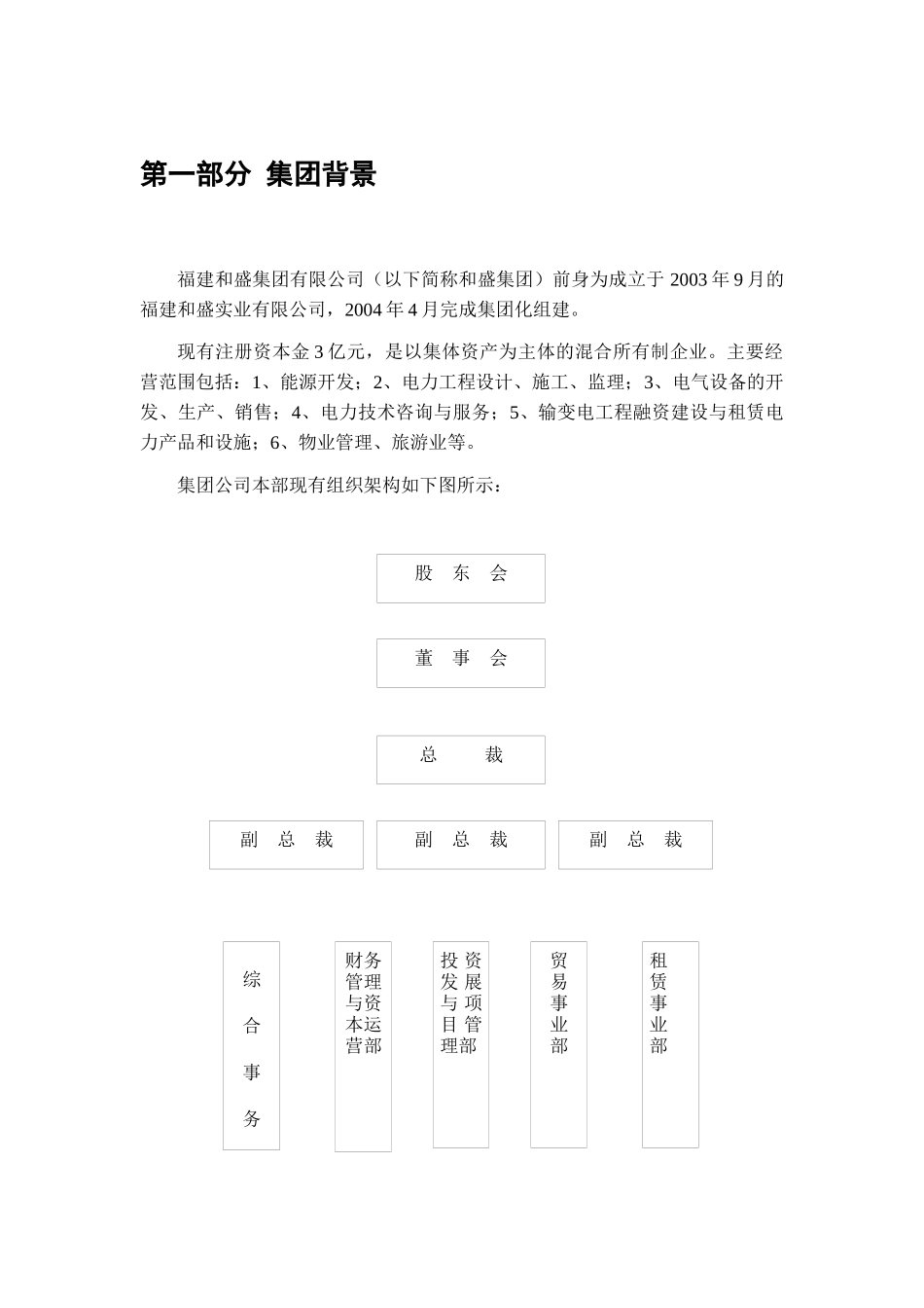 福建和盛集团有限公司发展战略_第2页