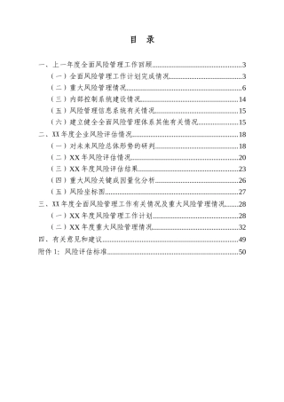 公司年度全面风险管理报告