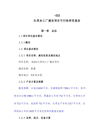 红枣加工厂建设项目可行性研究报告