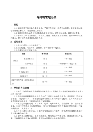 集团导师制管理办法