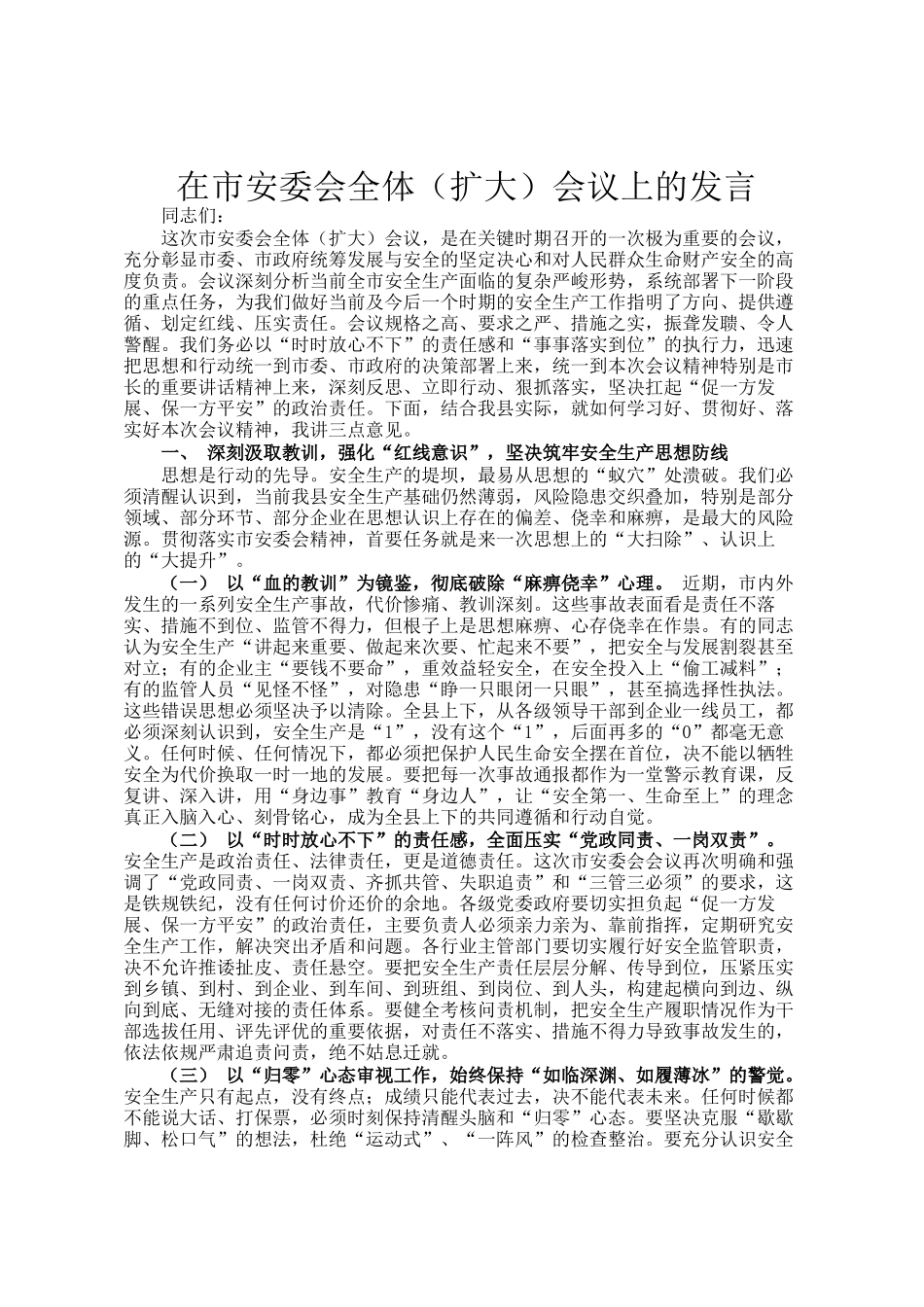 在市安委会全体（扩大）会议上的发言_第1页