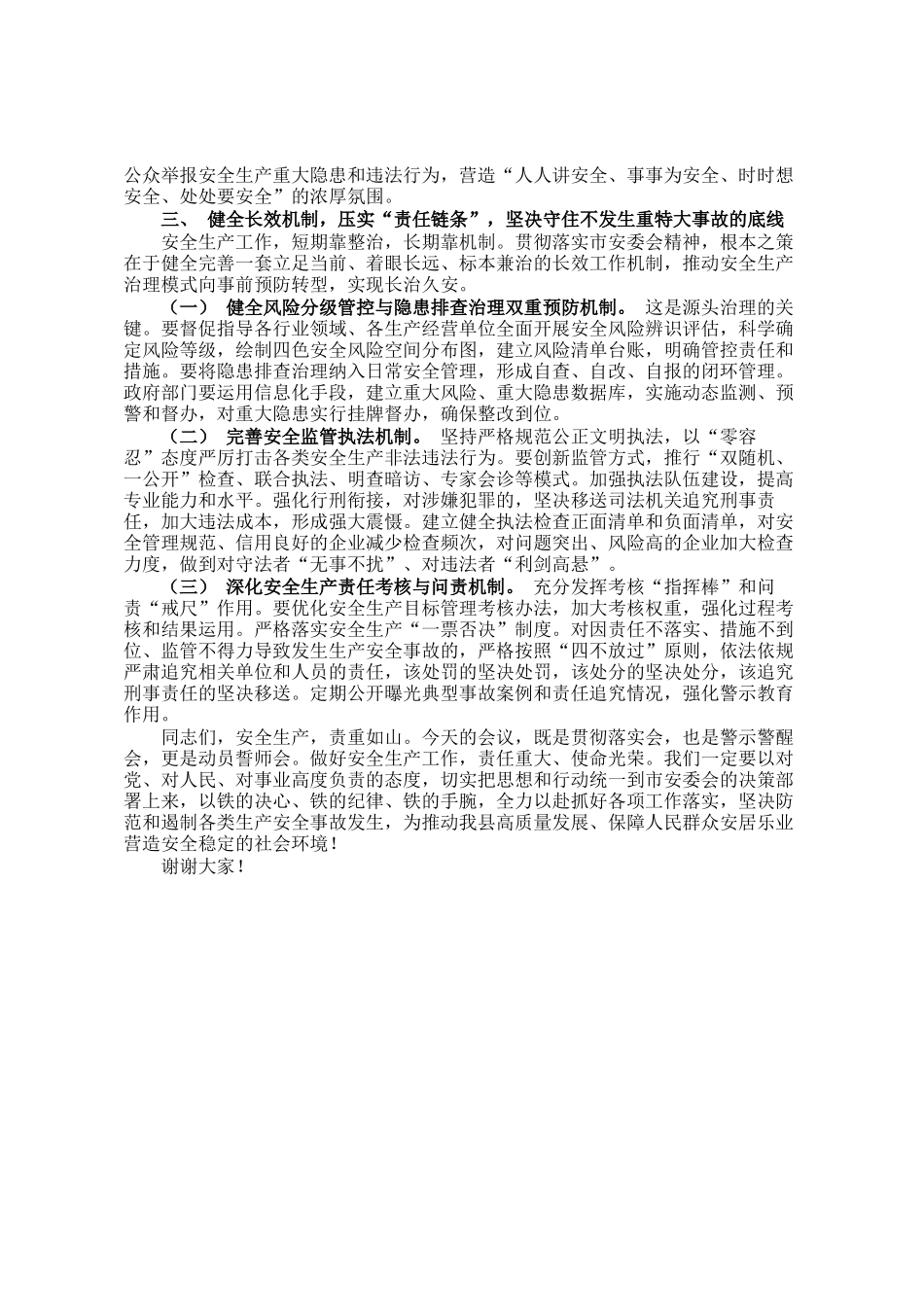 在市安委会全体（扩大）会议上的发言_第3页