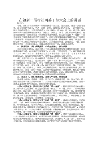 在镇新一届村社两委干部大会上的讲话