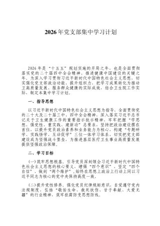 2026年党支部集中学习计划