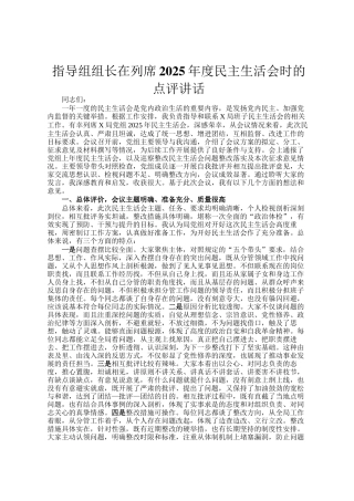 指导组组长在列席2025年度民主 生活会时的点评讲话