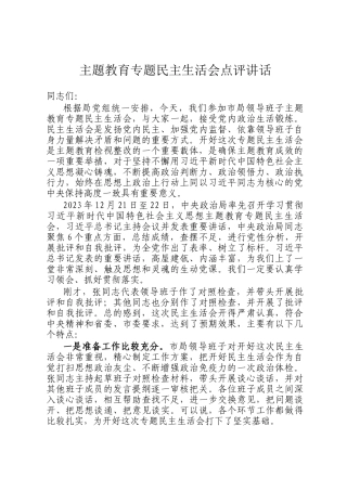 主题教育专题民主 生活会点评讲话