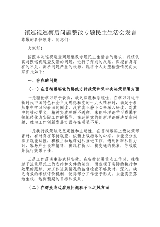 镇巡视巡察后问题整改专题民主生 活会发言